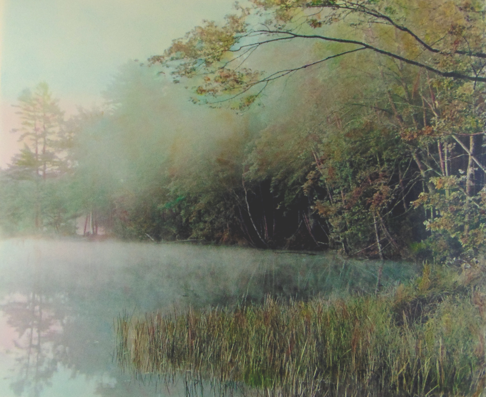 FOGGY Lakeshore