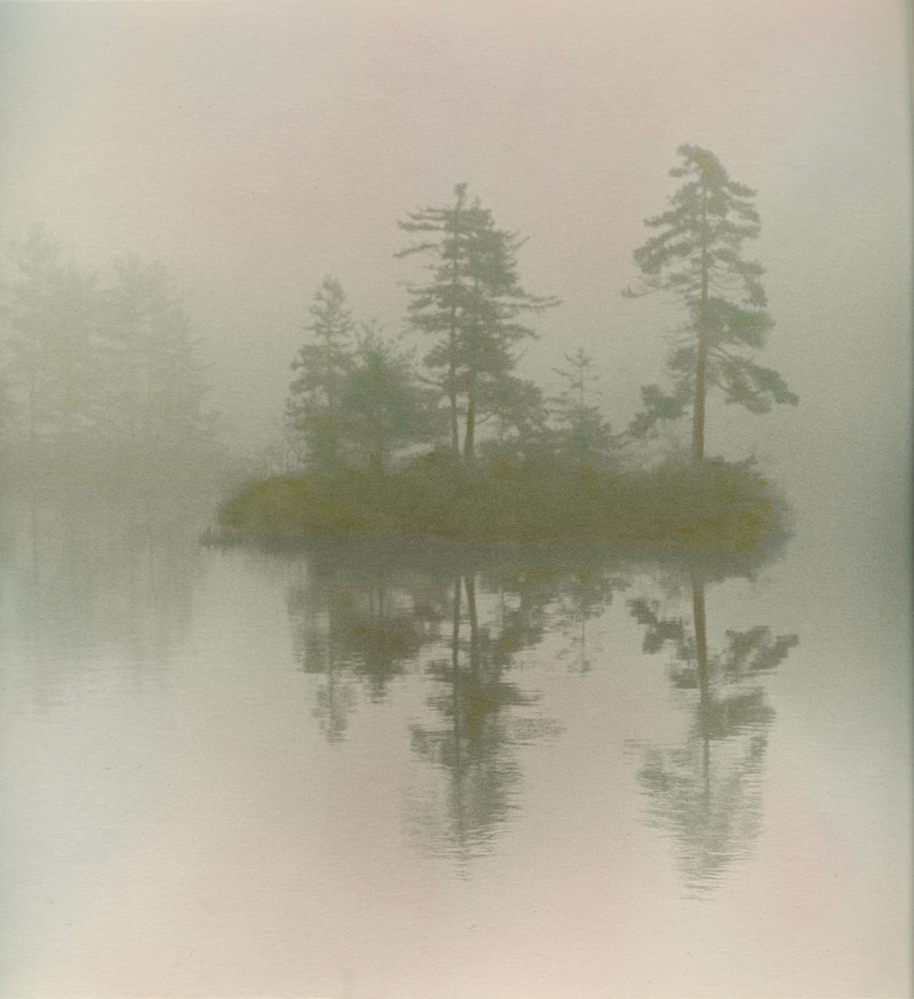 FOGGY Marsh Island