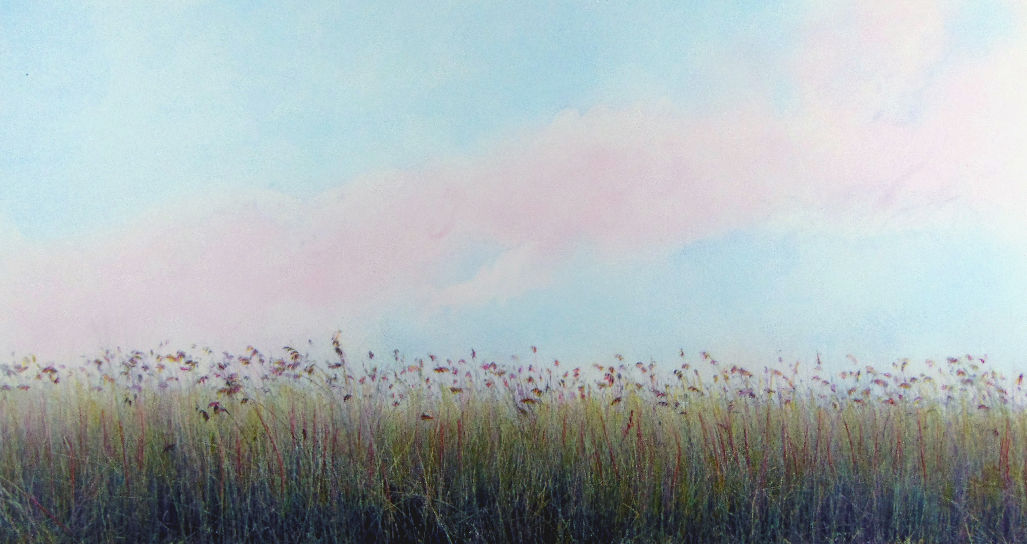 HILLTOP Grass