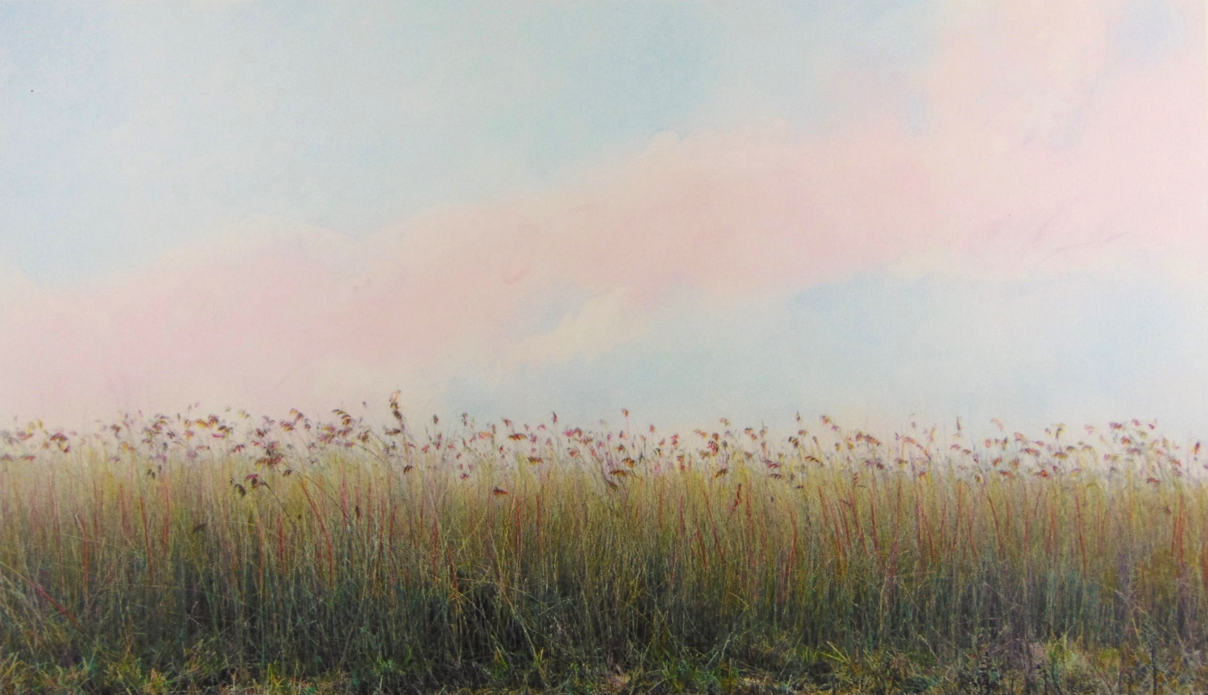 HILLTOP Grass