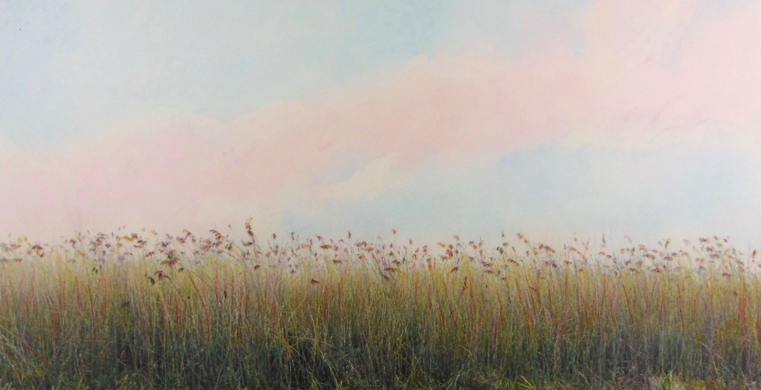 HILLTOP Grass