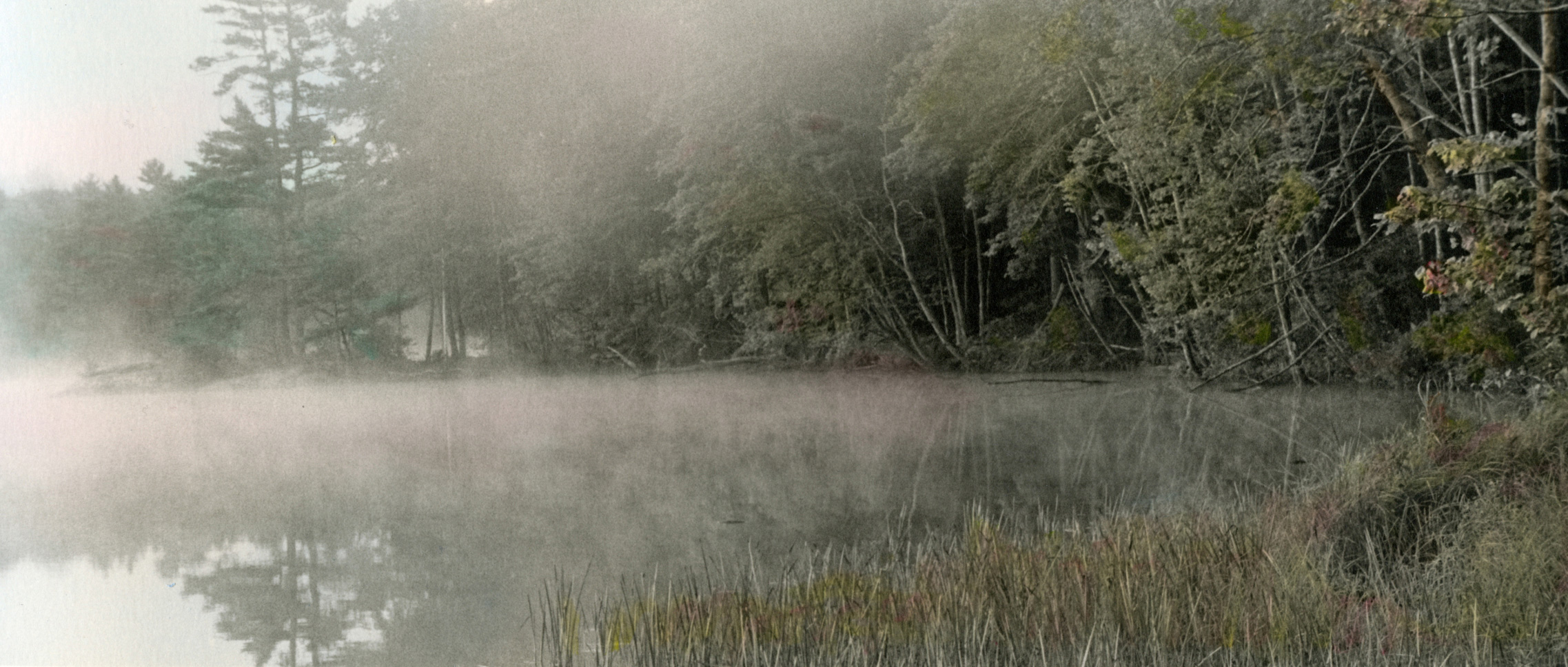 MISTY Shore #1