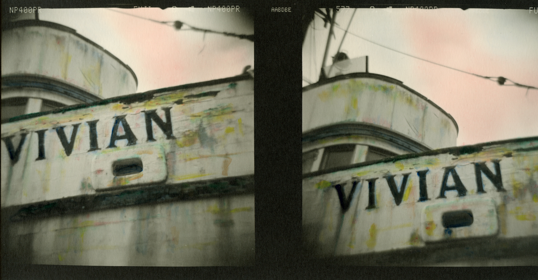 Vivian Diptych